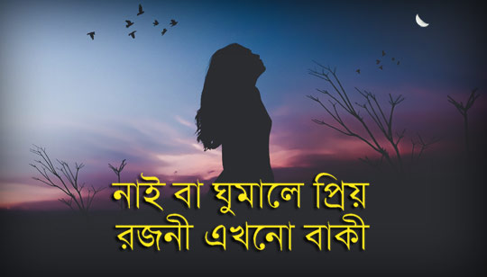 Naiba Ghumale Priyo Lyrics (নাই বা ঘুমালে প্রিয়) Kumar Sanu