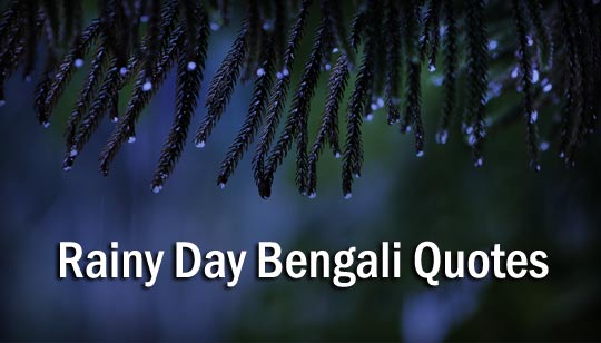 Rainy Day (বৃষ্টি) Bengali Quotes | SMS | Status Social Media