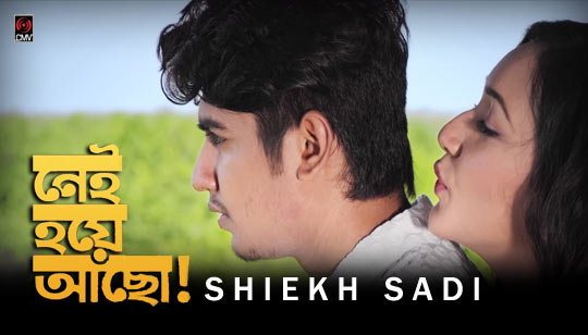 Nei Hoye Acho Lyrics (নেই হয়ে আছো) Shiekh Sadi Bangla Song