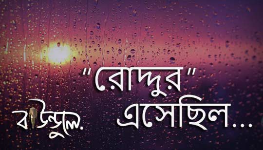 Roddur Esechilo (রোদ্দুর এসেছিল) Bengali Poem Lyrics | Baundule