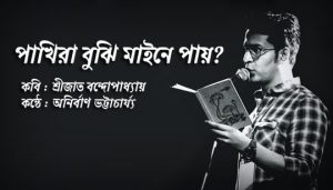 Pakhira Bujhi Maine Pay Poem Lyrics (পাখিরা বুঝি মাইনে পায়) Anirban | Srijato