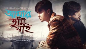 Amar Tumi Nai Lyrics (আমার তুমি নাই) Shiekh Sadi | Sultan