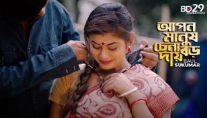 Apon Manush Chena Boro Daay Lyrics আপন মানুষ চেনা বড় দায় Baul Sukumar