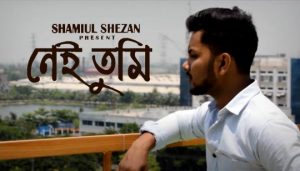 Nei Tumi Lyrics (নেই তুমি) Shamiul Shezan