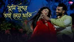Tumi Sundar Tai Cheye Thaki Lyrics (তুমি সুন্দর তাই চেয়ে থাকি) Nazrul Geeti